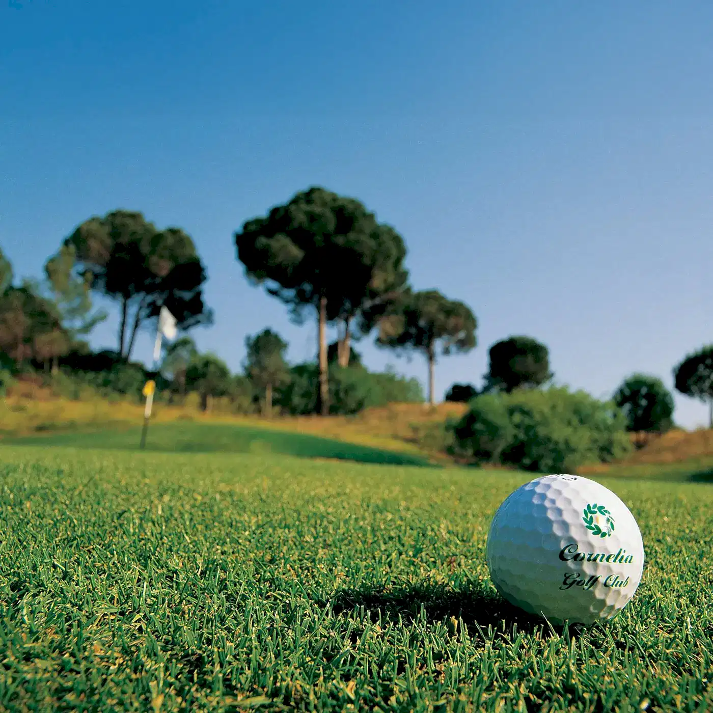 Cornelia Golf Club - Çimser