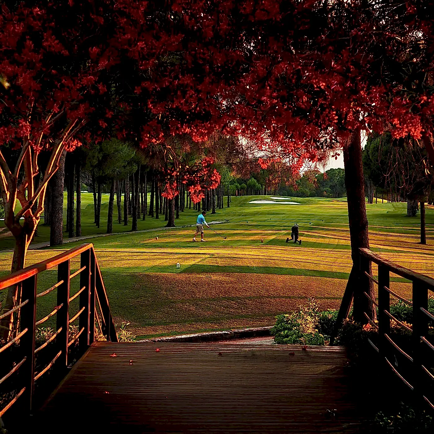 Gloria Golf Resort - Çimser