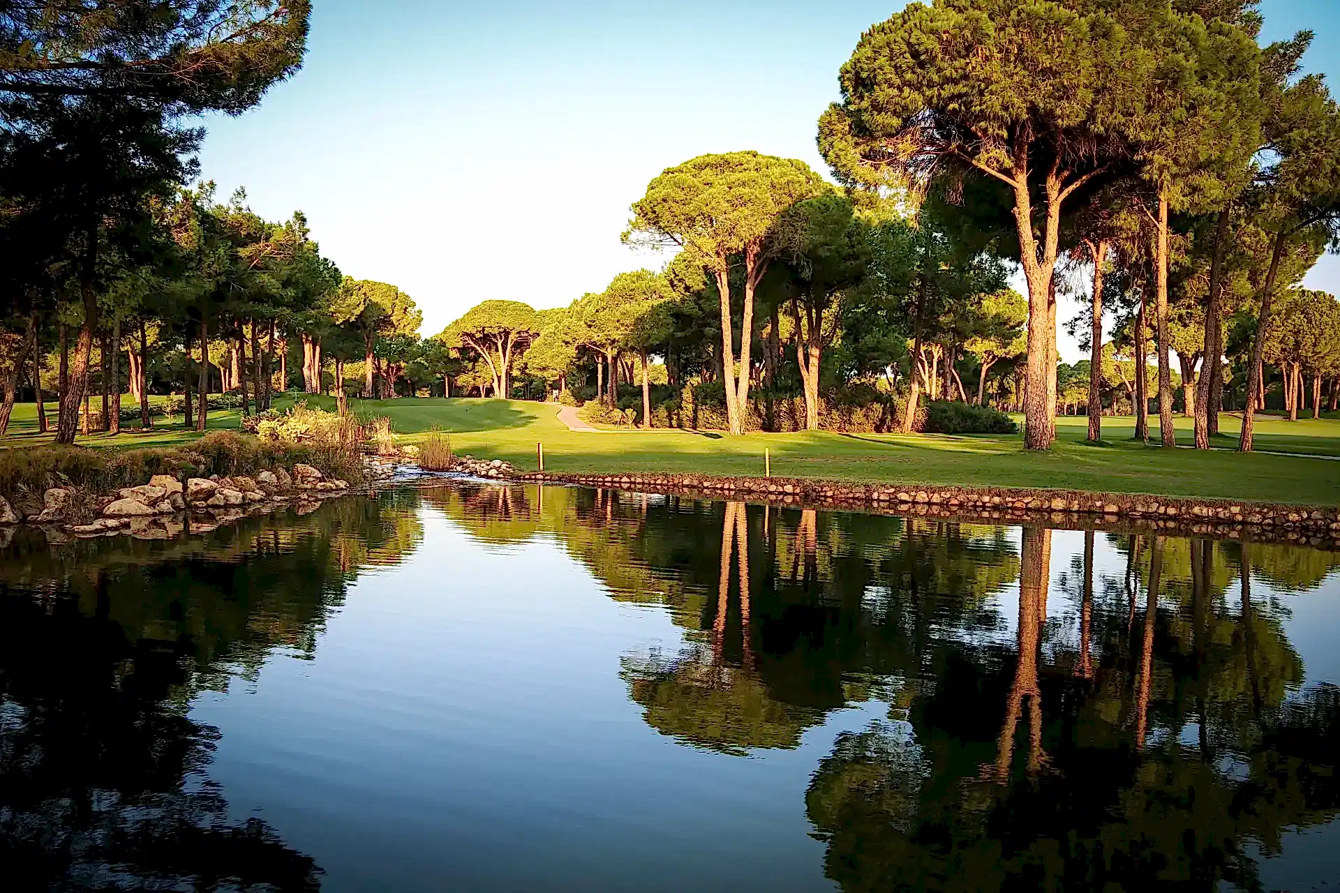 Nobilis Golf Club - Çimser