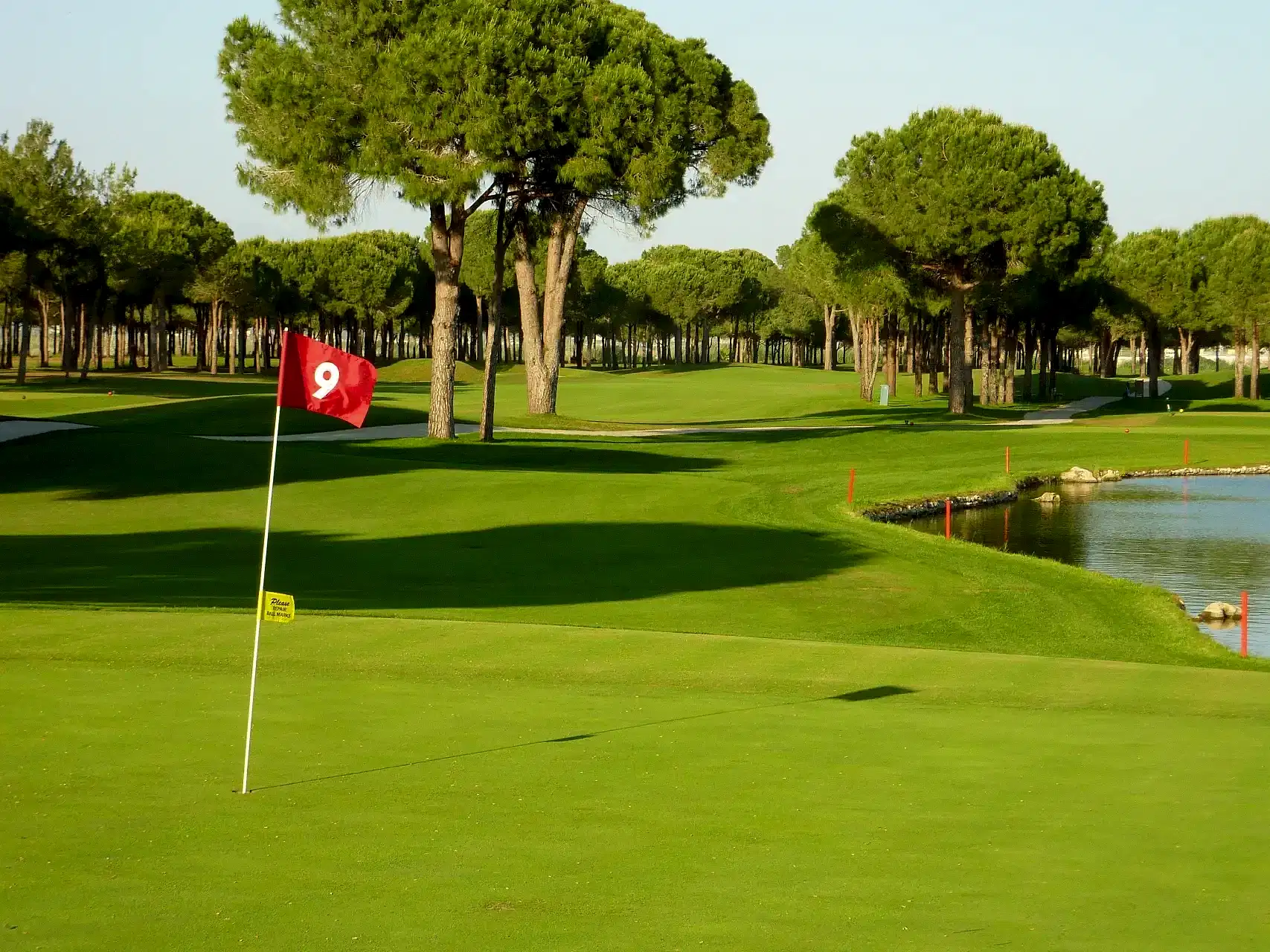 Nobilis Golf Club - Çimser